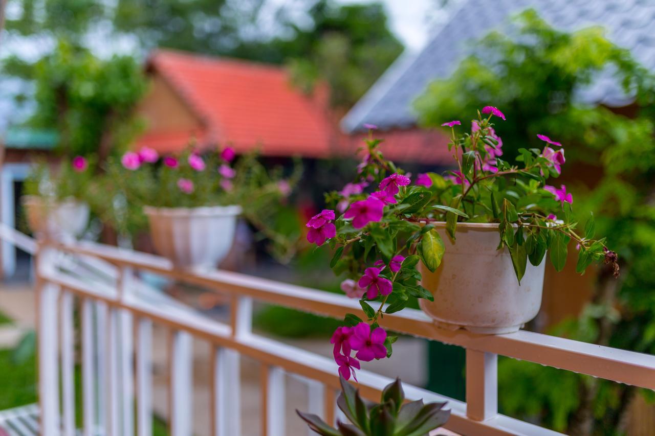 Pomelo Homestay Φονγκ Να Εξωτερικό φωτογραφία