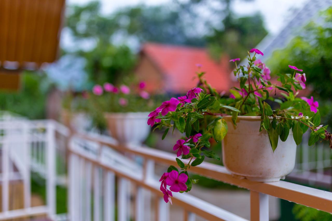 Pomelo Homestay Φονγκ Να Εξωτερικό φωτογραφία