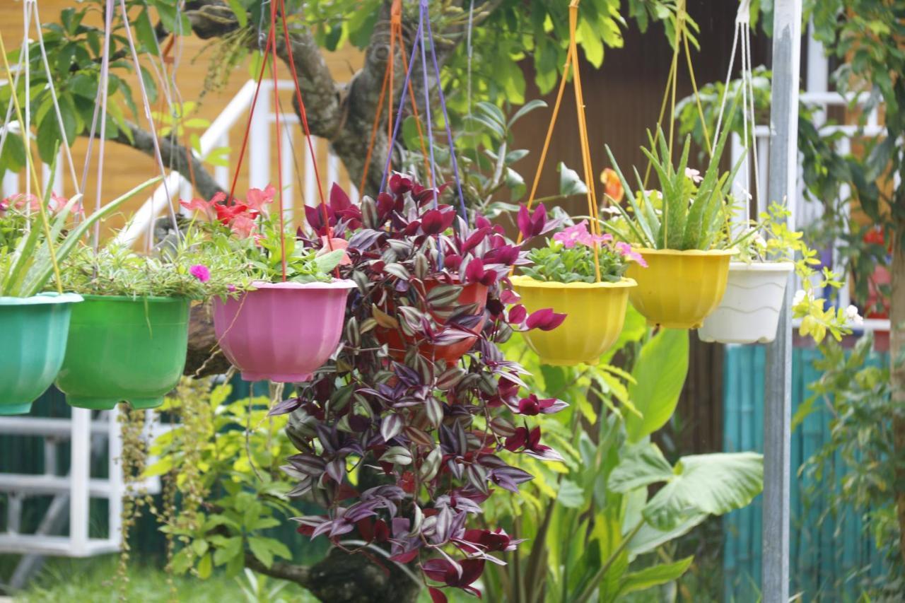 Pomelo Homestay Φονγκ Να Εξωτερικό φωτογραφία